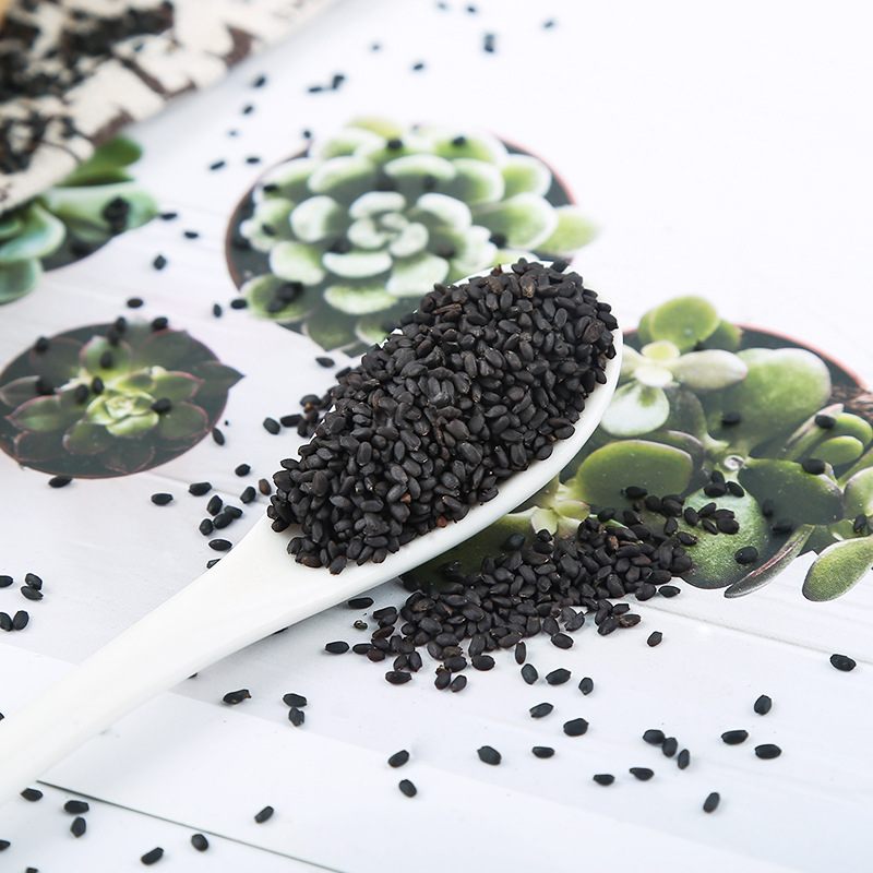 Lan Xiang Zi (Ocimum basilicum) — Dried Basil Seeds for Flower Tea & Daily Brews - Image 3