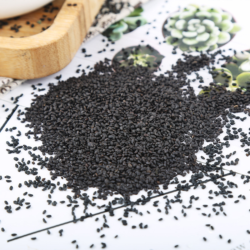 Lan Xiang Zi (Ocimum basilicum) — Dried Basil Seeds for Flower Tea & Daily Brews - Image 4