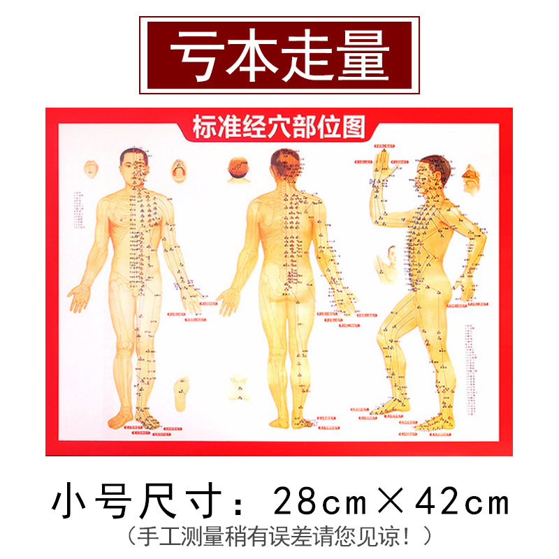 Human Body Meridian Acupoint Chart Double Sided Printed Copperplate Paper for Moxibustion and Massage Reference Medium 280x420mm - Image 2