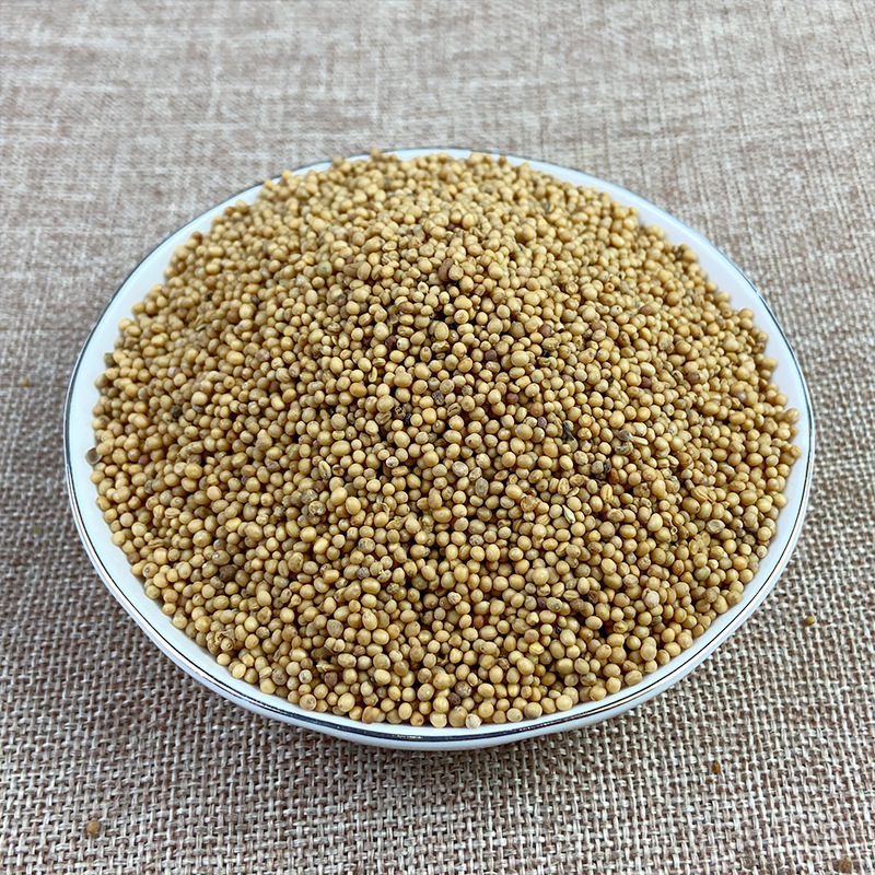 White Mustard Seed Bai Jie Zi 500g Dried Herbal Seeds for Decoction and Culinary Use - Image 2