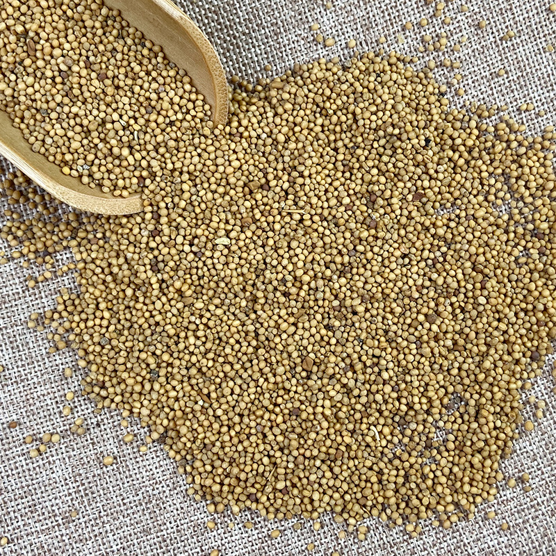 White Mustard Seed Bai Jie Zi 500g Dried Herbal Seeds for Decoction and Culinary Use - Image 3