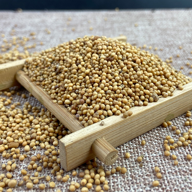 White Mustard Seed Bai Jie Zi 500g Dried Herbal Seeds for Decoction and Culinary Use - Image 4