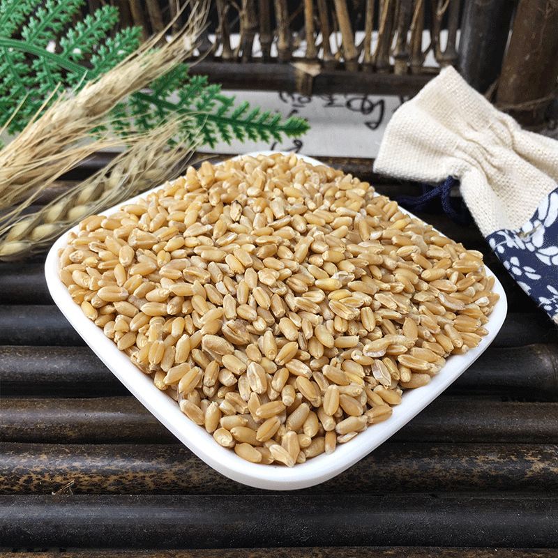 Fu Xiao Mai Dried Floating Wheat Bulk 1 jin 500g Huai Wheat Traditional TCM Herb - Image 2
