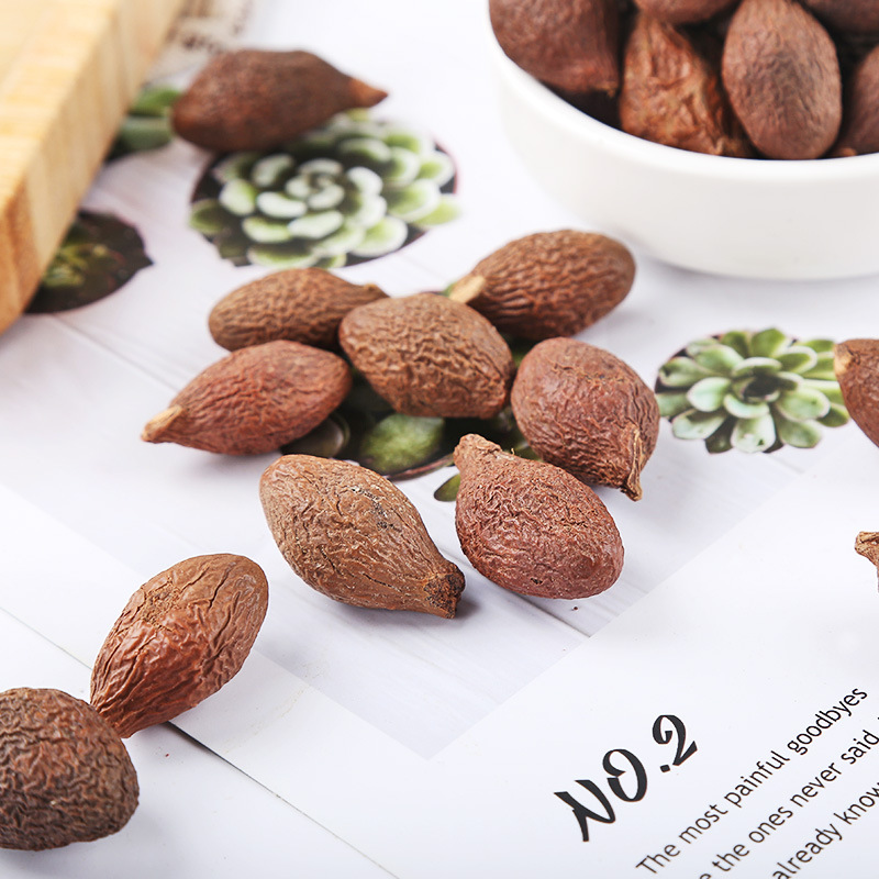 Pang Da Hai (Sterculia lychnophora) — Dried Malva Nut Seed for Herbal Tea & Luo Han Guo Blends - Image 3