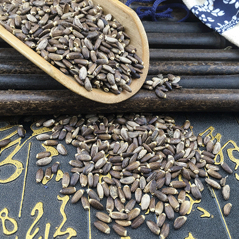Milk Thistle Seed Shui Fei Ji 水飞蓟 Dried Whole Seeds for Herbal Tea and Decoction 500g - Image 2