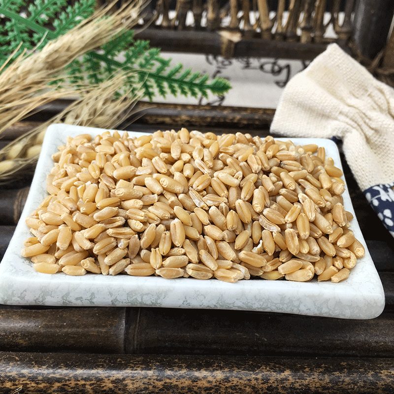 Fu Xiao Mai Dried Floating Wheat Bulk 1 jin 500g Huai Wheat Traditional TCM Herb - Image 4