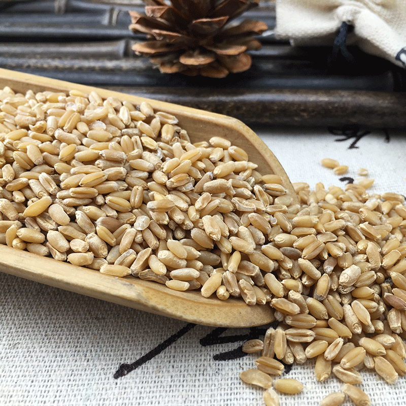 Fu Xiao Mai Dried Floating Wheat Bulk 1 jin 500g Huai Wheat Traditional TCM Herb - Image 3