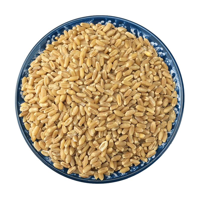 Fu Xiao Mai Dried Floating Wheat Bulk 1 jin 500g Huai Wheat Traditional TCM Herb - Image 5