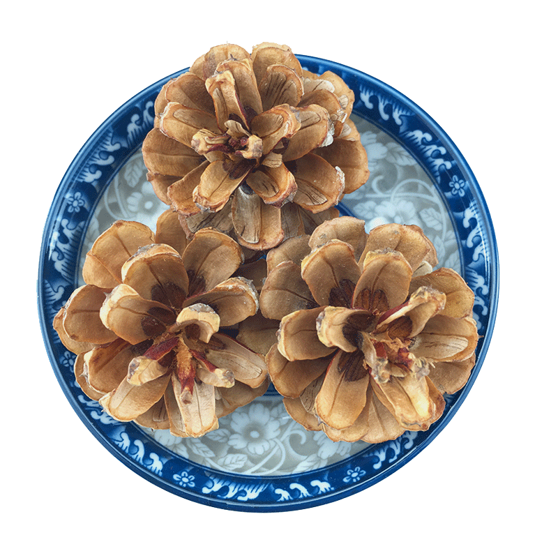 Dried Pine Cones Song Ta Loose Natural Cones 500g Sun Dried Decorative Craft and Herbal Use - Image 5
