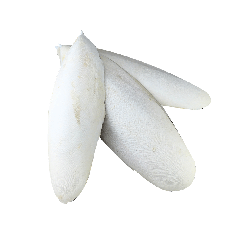Dried Cuttlebone Hai Piao Xiao 500g Whole Cuttlefish Bone for Pet Use and Traditional Herbal Applications - Image 5