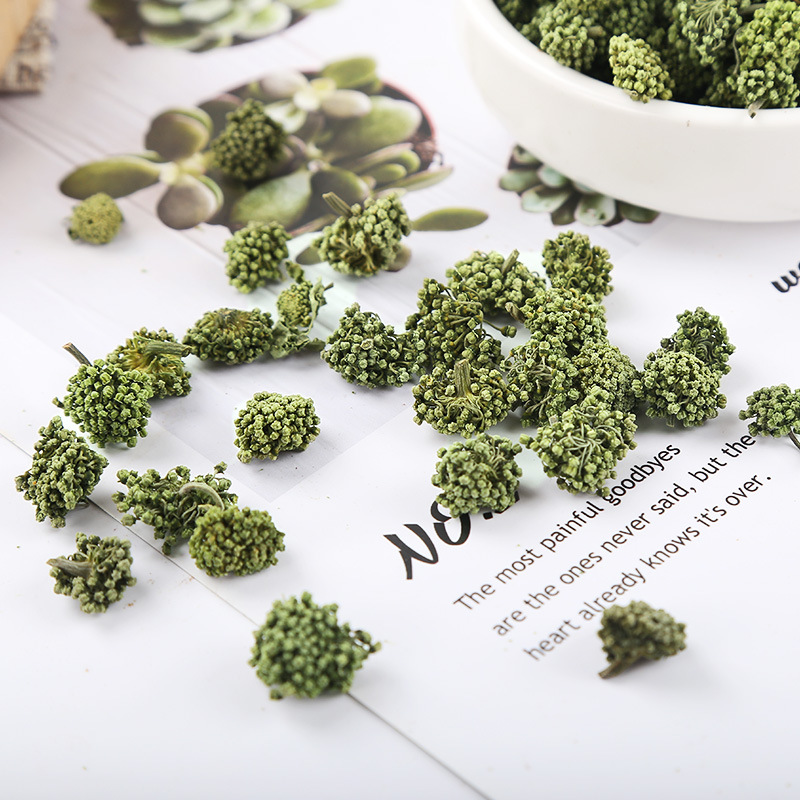 Notoginseng Flower Buds (Panax notoginseng) — Yunnan Wenshan San Qi Hua Dried Herbal Tea - Image 3