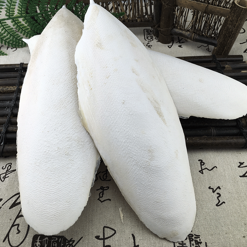 Dried Cuttlebone Hai Piao Xiao 500g Whole Cuttlefish Bone for Pet Use and Traditional Herbal Applications - Image 4