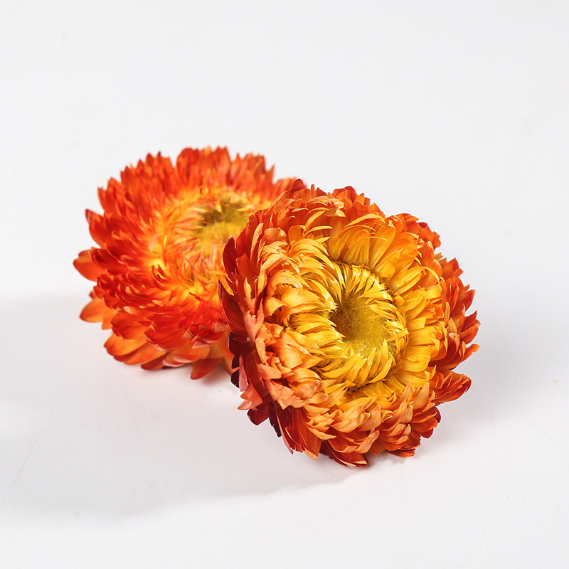 Seven Color Chrysanthemum Tea Qi Cai Ju Dried Herbal Flower Tea 500g Yunnan Loose Flowers - Image 3
