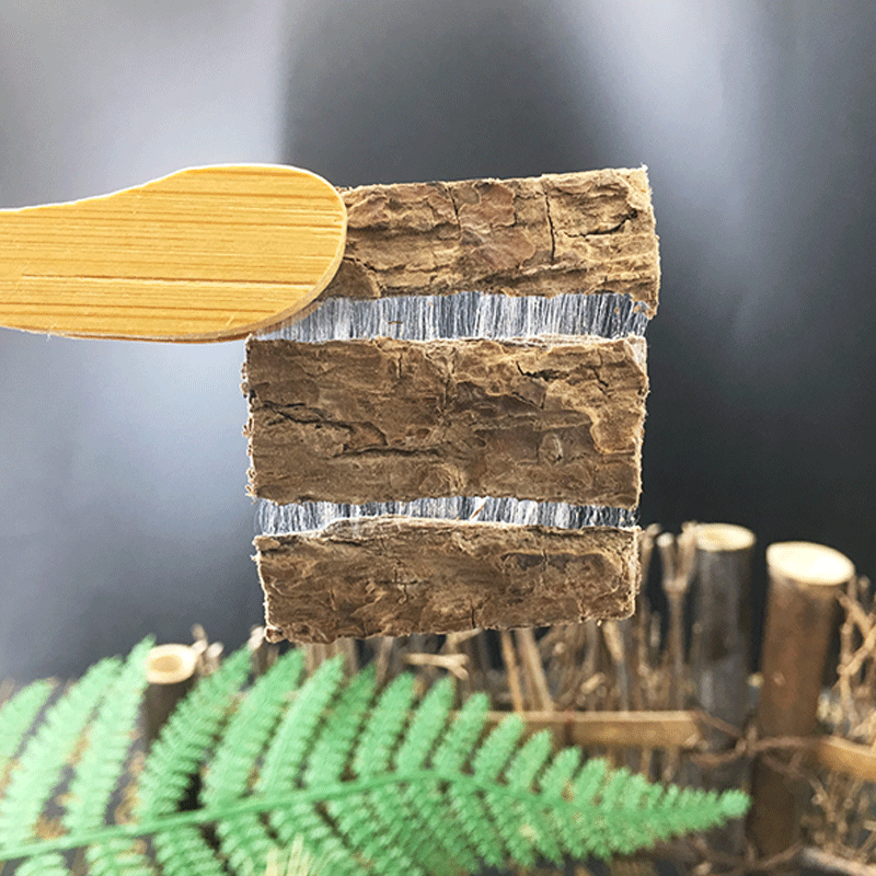 Eucommia Bark Du Zhong 杜仲 Dried Sichuan Herbal Slices 500g Traditional TCM Decoction Ingredient - Image 3