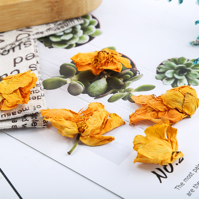 Jin Lian Hua Dried Flower (Trollius chinensis) — Inner Mongolia Herbal Tea & Food Herb - Image 4