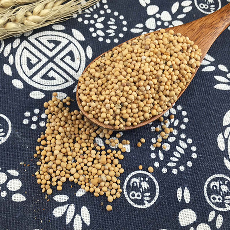 White Mustard Seed Bai Jie Zi 500g Dried Sinapis Alba Seeds Bulk Herbal Ingredient - Image 3