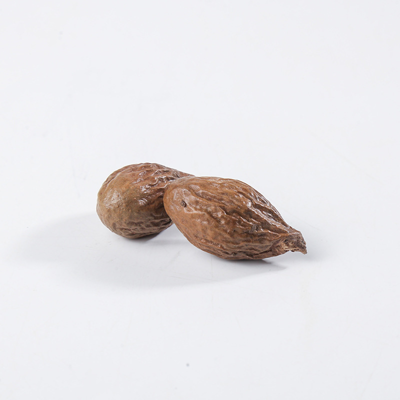 Fat Sea Seed Pang Da Hai Dried Herbal Tea Bulk 500g New Crop Guangxi - Image 3