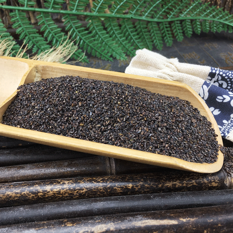 Dried Plantago Seed Che Qian Zi Bulk Raw Herb 500g New Crop Loose Seeds - Image 4