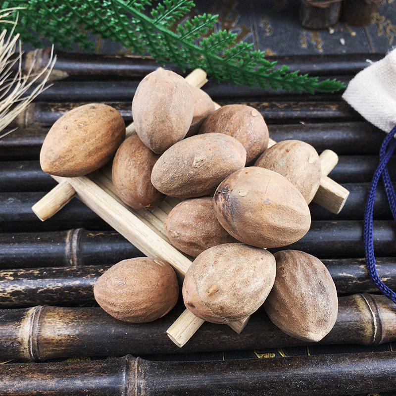 Dried Torrey Seeds Fei Zi 榧子 Raw Chinese Herbal Seeds Sun Dried Culinary and TCM Use 500g - Image 2