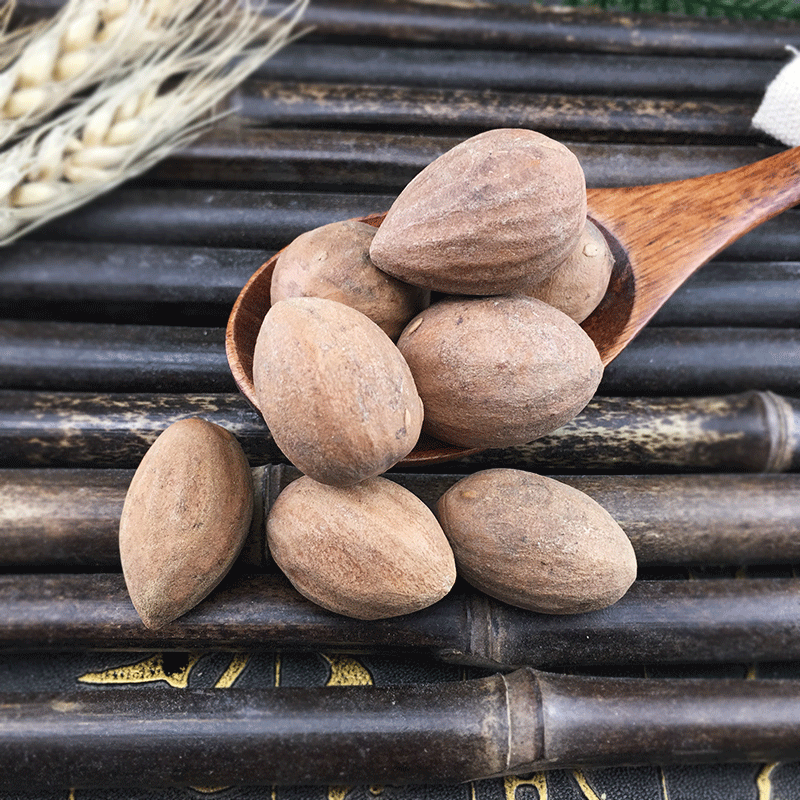 Dried Torrey Seeds Fei Zi 榧子 Raw Chinese Herbal Seeds Sun Dried Culinary and TCM Use 500g - Image 3