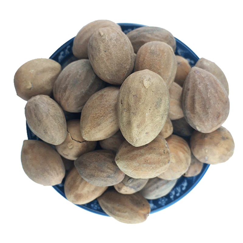 Dried Torrey Seeds Fei Zi 榧子 Raw Chinese Herbal Seeds Sun Dried Culinary and TCM Use 500g - Image 5