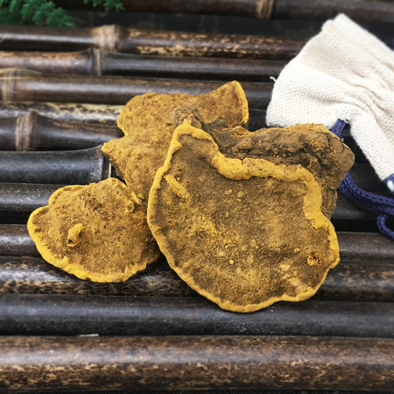 Sang Huang Mulberry Yellow Fungus Loose Dried Phellinus for Traditional Herbal Decoction 500g - Image 3