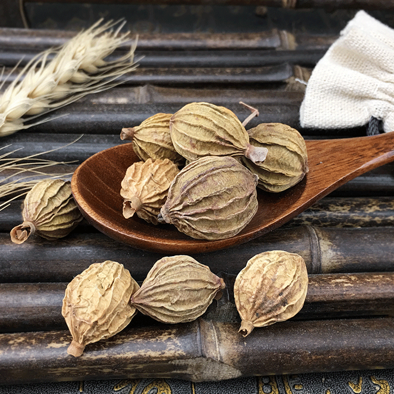Xiang Sha Dried Amomum Fruit 500g Culinary Spice for Braising and Stews - Image 4