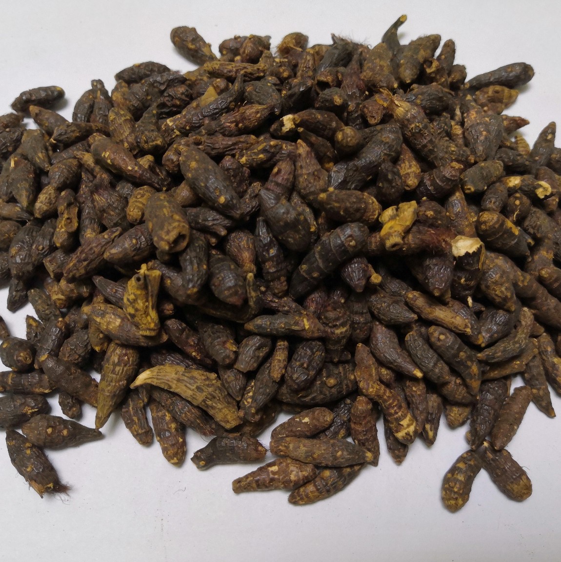Xiang Fu Cyperus Rhizome Slices Dried Xiang Fu Zi Herbal Decotion Pieces 1kg Bag - Image 2