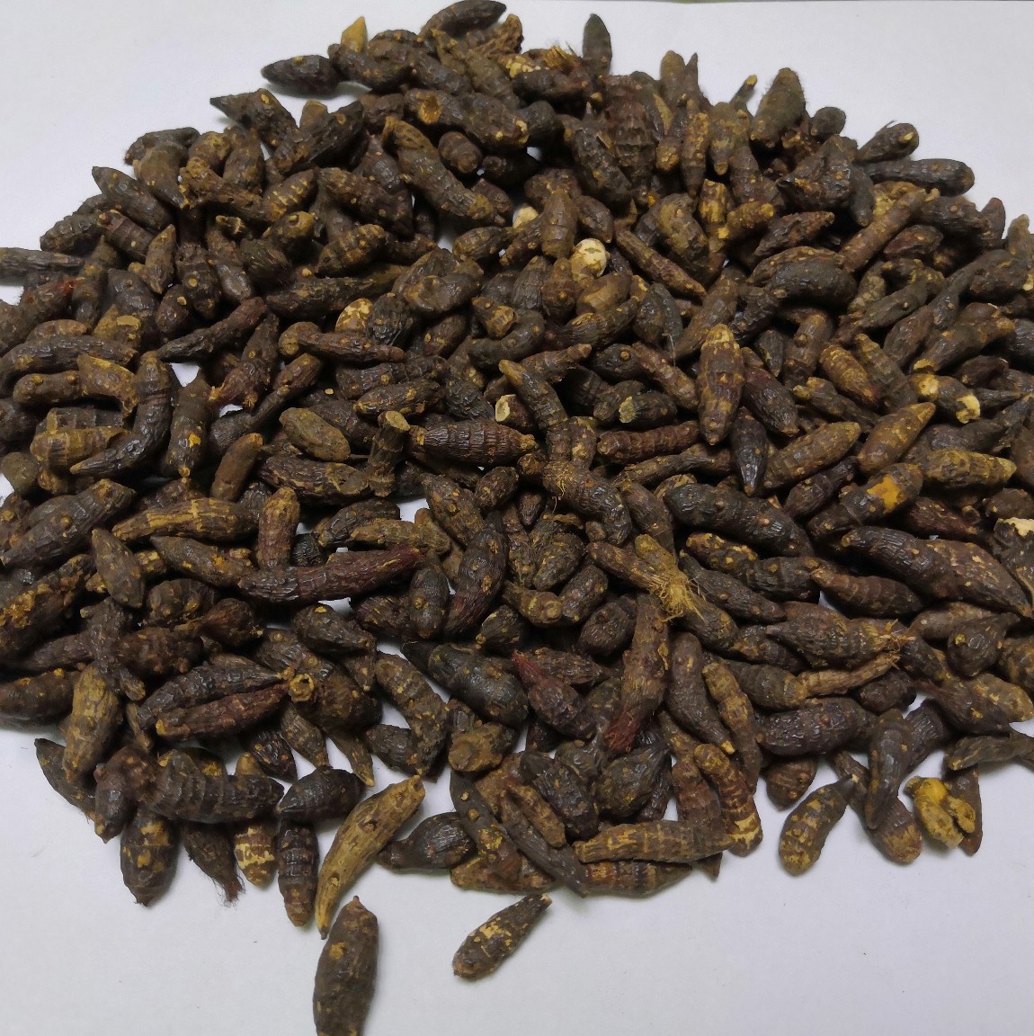 Xiang Fu Cyperus Rhizome Slices Dried Xiang Fu Zi Herbal Decotion Pieces 1kg Bag - Image 4