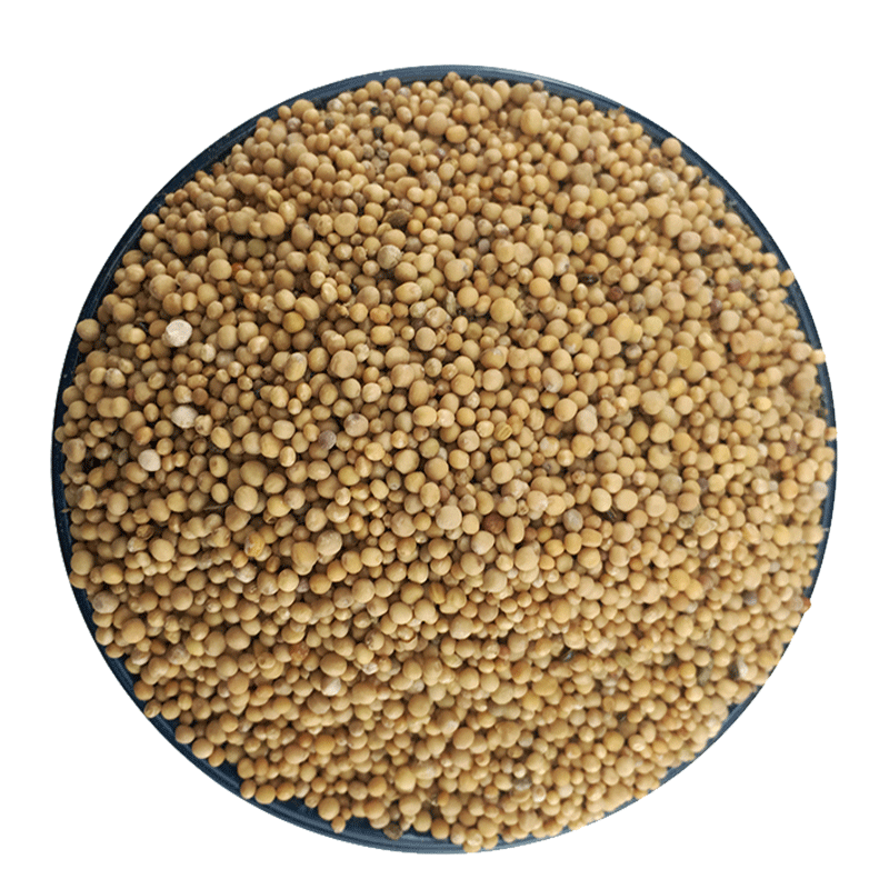 White Mustard Seed Bai Jie Zi 500g Dried Sinapis Alba Seeds Bulk Herbal Ingredient - Image 5