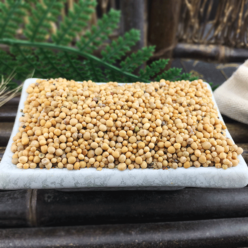 White Mustard Seed Bai Jie Zi 500g Dried Sinapis Alba Seeds Bulk Herbal Ingredient - Image 2