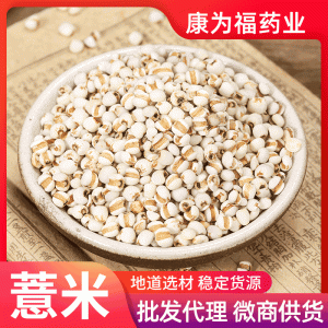 Yi Yi Ren (Coix Seed) — Puffed Job's Tears Grain, Ready-to-Eat & Soup-Ready 500g