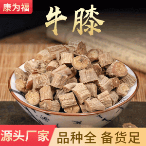 Niu Xi (Achyranthes bidentata) Dried Root — Huai Niu Xi & Chuan Niu Xi Herbal Decoction Pieces