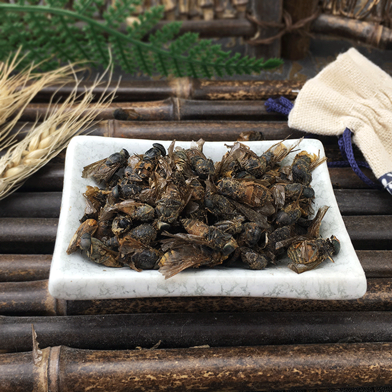 Dried Gadfly Niu Meng Chong Whole Insect Traditional Chinese Herb Bulk 500g - Image 2