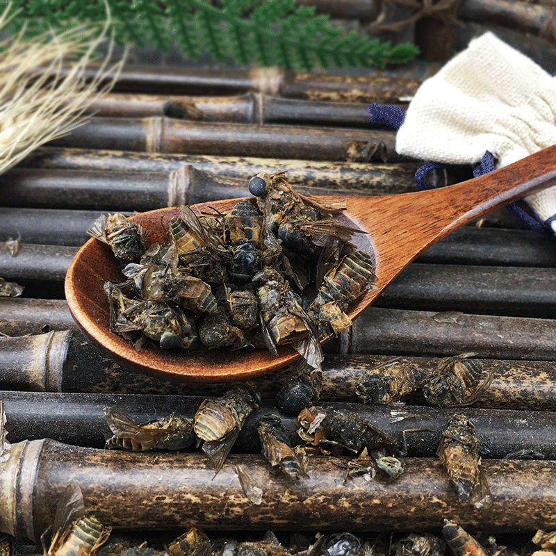 Dried Gadfly Niu Meng Chong Whole Insect Traditional Chinese Herb Bulk 500g - Image 3