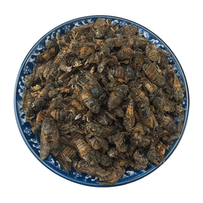 Dried Gadfly Niu Meng Chong Whole Insect Traditional Chinese Herb Bulk 500g - Image 5