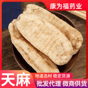 Tian Ma Slices (Gastrodia elata) — Guizhou Dried Gastrodia Rhizome, Food Herb for Soup & Tea