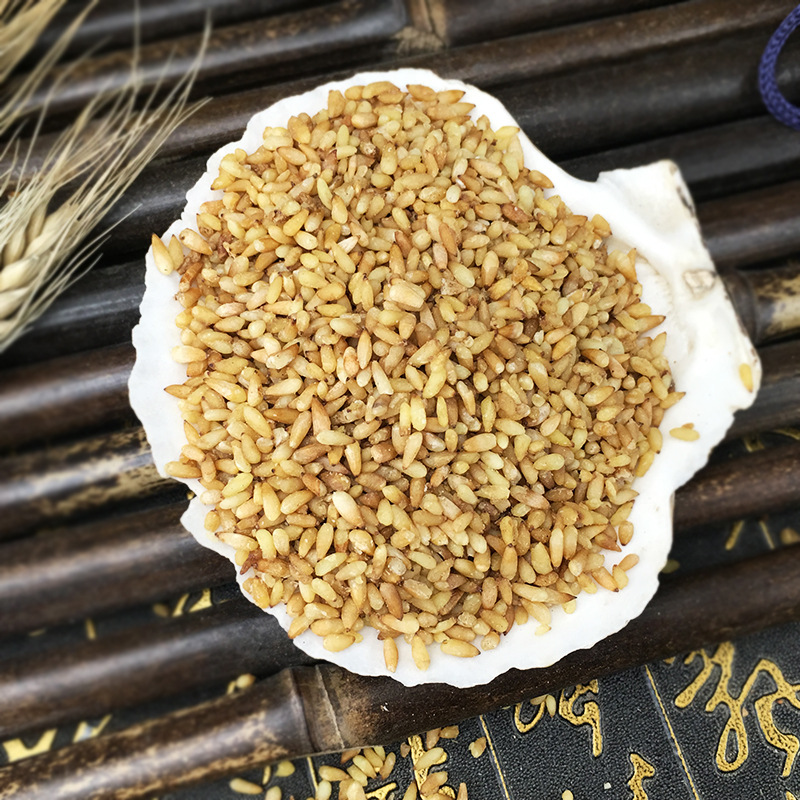 Dried Platycladus Seed Bai Zi Ren Bulk Whole Seeds Traditional Herbal Ingredient 500g - Image 2