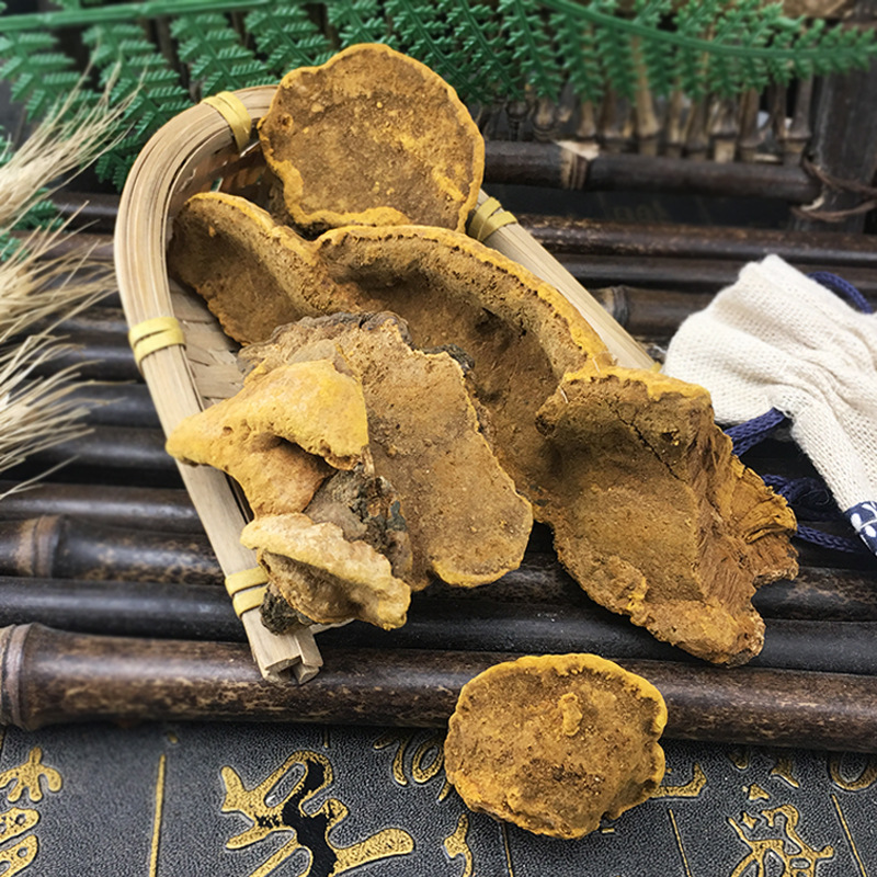 Sang Huang Mulberry Yellow Fungus Loose Dried Phellinus for Traditional Herbal Decoction 500g - Image 4