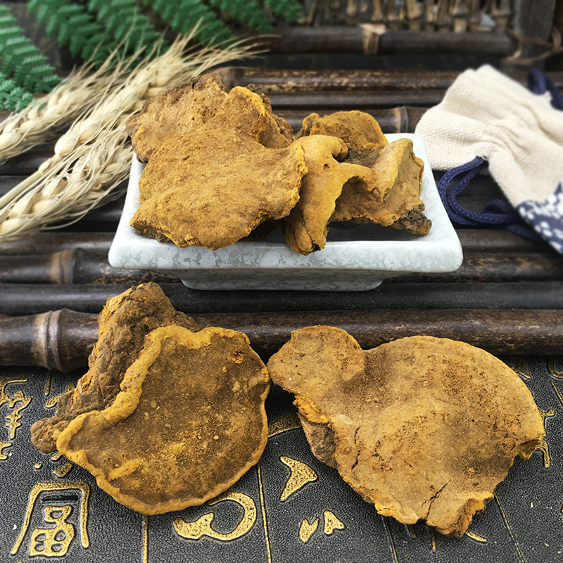 Sang Huang Mulberry Yellow Fungus Loose Dried Phellinus for Traditional Herbal Decoction 500g - Image 2