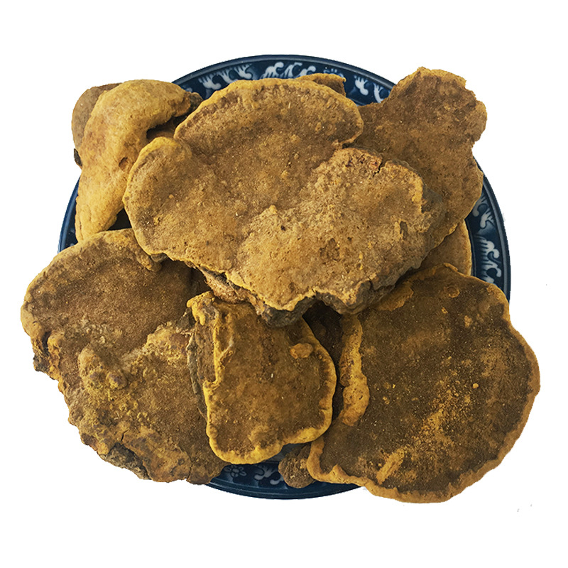 Sang Huang Mulberry Yellow Fungus Loose Dried Phellinus for Traditional Herbal Decoction 500g - Image 5