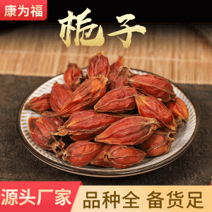 Zhi Zi (Gardenia jasminoides) — Dried Gardenia Fruit for Tea & Soup, 500g
