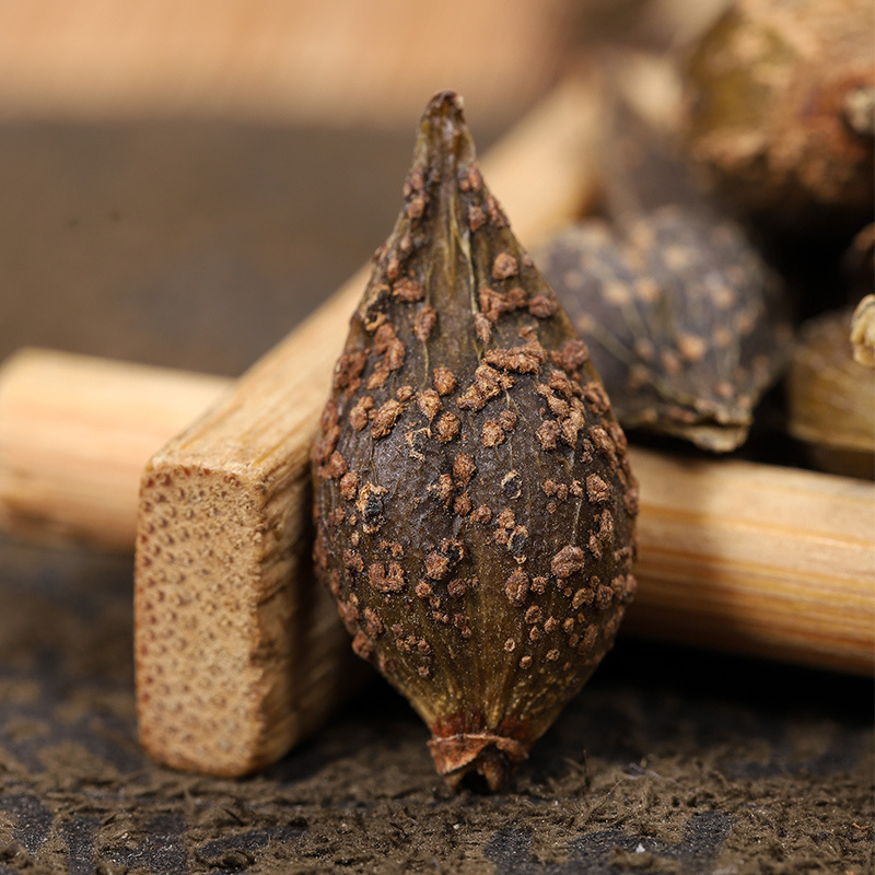 Lian Qiao (Forsythia suspensa) — Dried Forsythia Fruit & Powder, Food Herb - Image 3