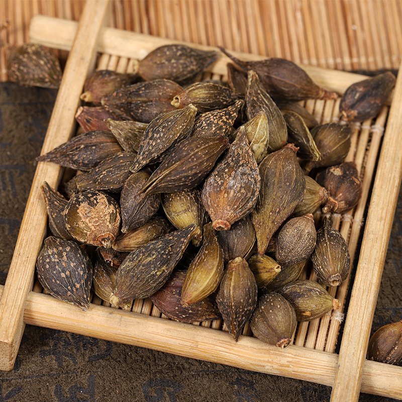 Lian Qiao (Forsythia suspensa) — Dried Forsythia Fruit & Powder, Food Herb - Image 2