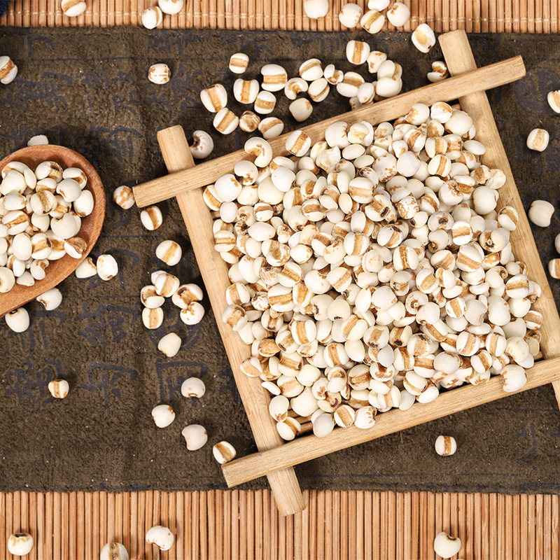 Yi Yi Ren (Coix Seed) — Puffed Job's Tears Grain, Ready-to-Eat & Soup-Ready 500g - Image 3
