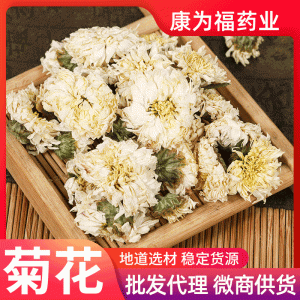 Chrysanthemum Flower (Chrysanthemum morifolium) — Dried Hangzhou & Gong Chrysanthemum Herbal Tea, 500g