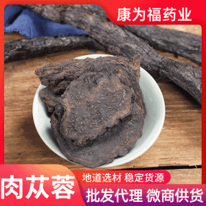 Rou Cong Rong Slices (Cistanche deserticola) — Dried Food Herb for Tea, Soup & Congee