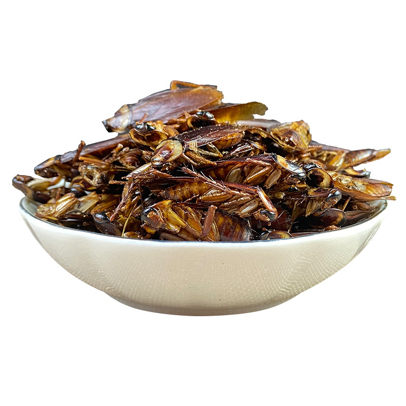 Dried Cockroach Whole Insect Yan Lang 500g Traditional Chinese Herbal Material Sun Dried - Image 5