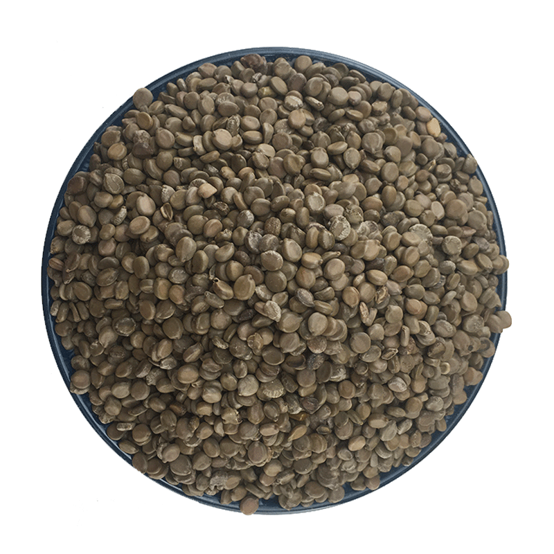 Cassia Occidentalis Seeds Wang Jiang Nan 望江南 Dried Folk Herb Bulk 500g - Image 5