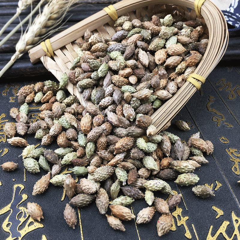 Cang Er Zi Dried Xanthium Fruit Whole Herb Bulk Traditional Chinese Herbal Ingredient 500g - Image 2